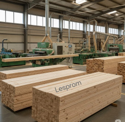 IMG 20250620 WA0083